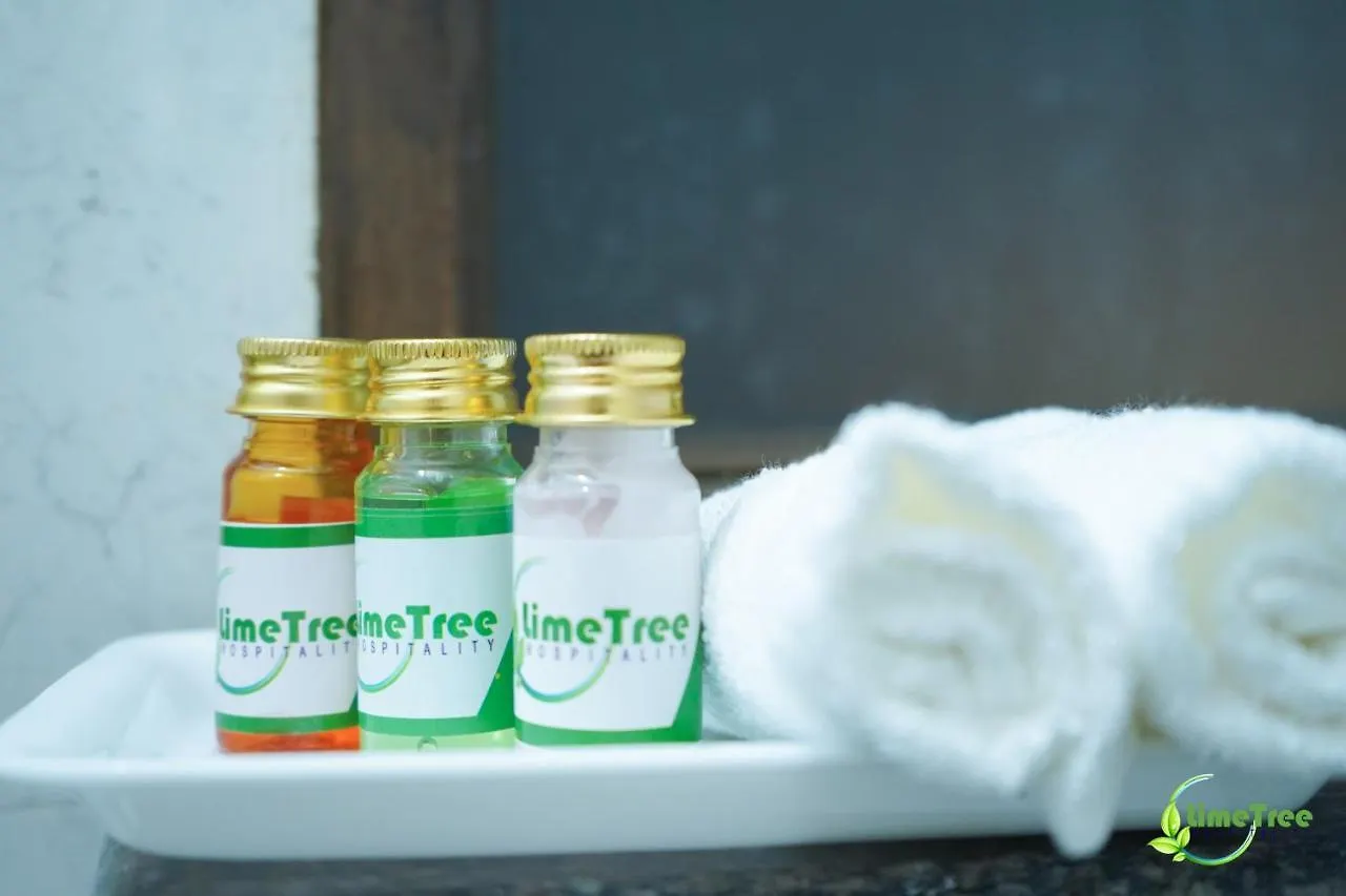 Lime Tree Hotel Near 32Nd Avenue Sector 29 Gurgaon 3*,  India